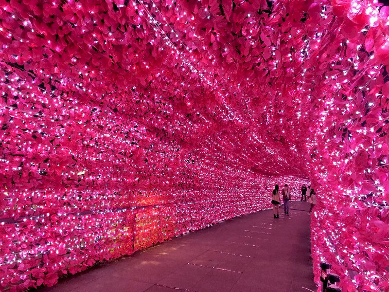 Where in Taiwan?