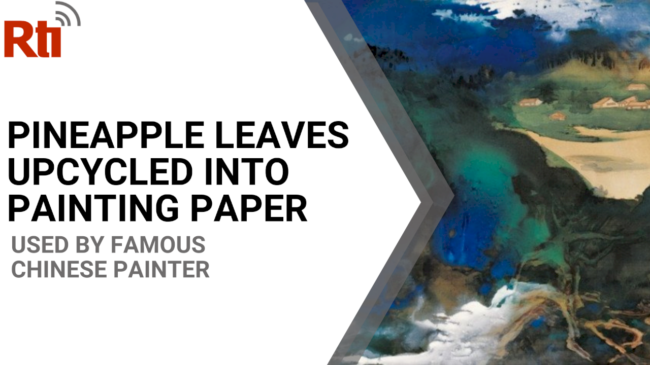 VIDEO: Taiwanese pineapple leaves get upcycled into painting paper