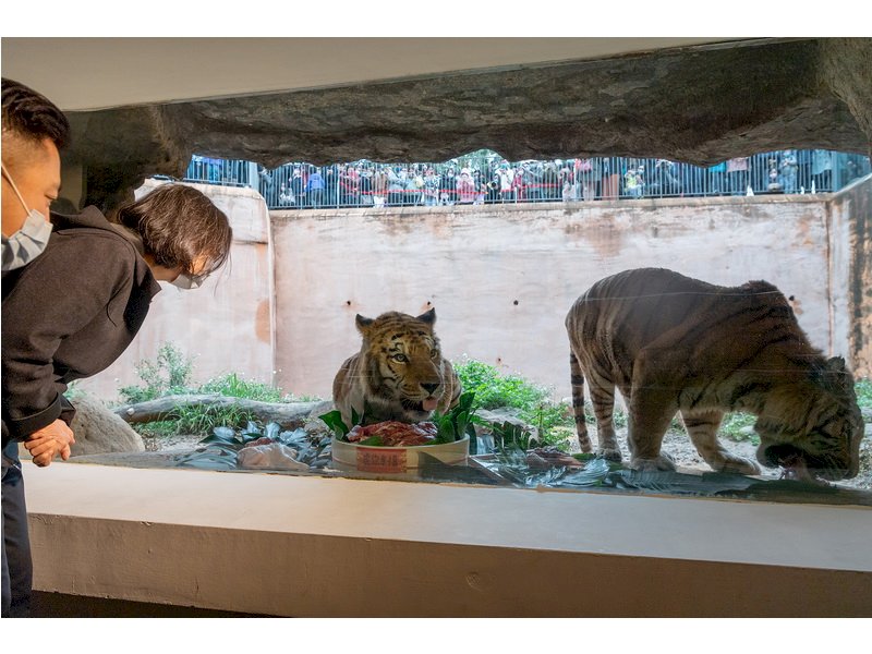 President Tsai Ing-wen visits Hsinchu Zoo