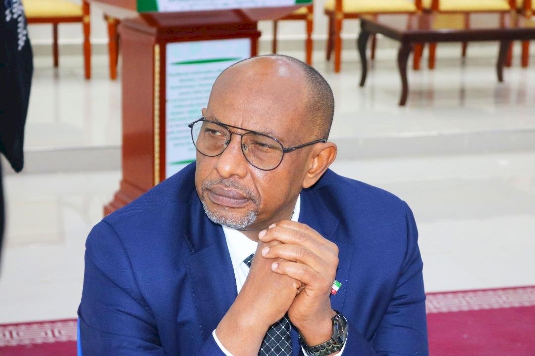 Somaliland foreign minister visiting Taiwan