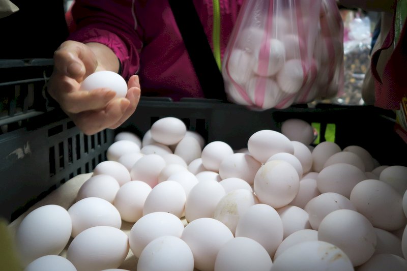 Egg supply may not stabilize until March: Agriculture council