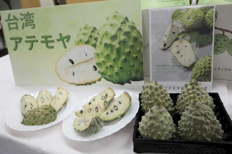Taitung leader goes to China to lobby for resumption of fruit exports