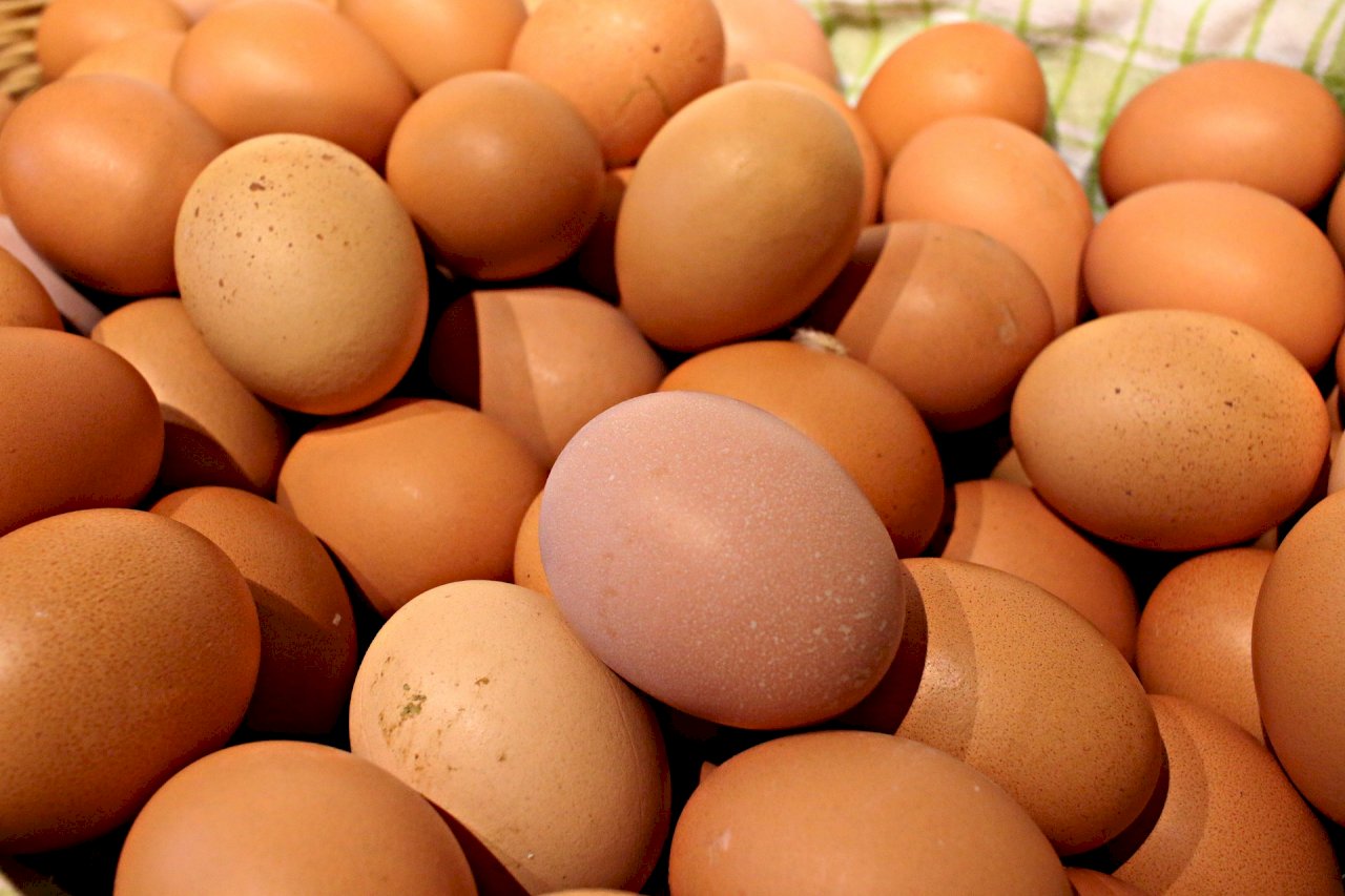 Cage-free eggs, Vote White?, and winning archers