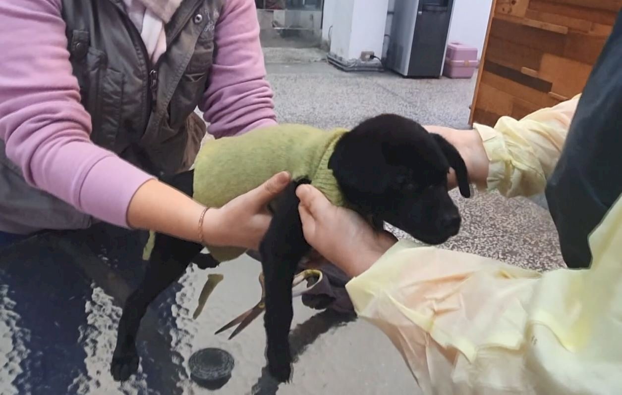 VIDEO: Donors give clothes, heaters to keep shelter dogs warm
