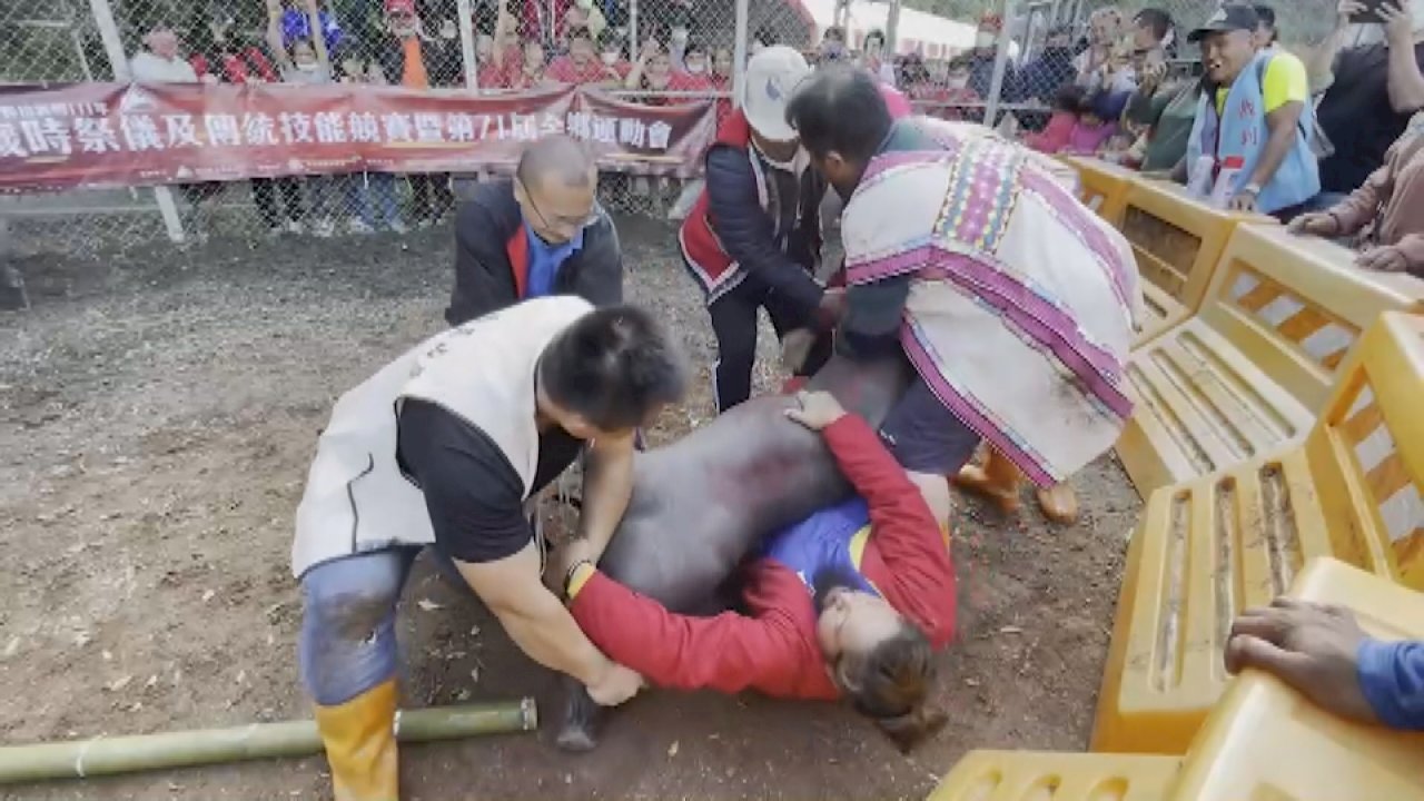 VIDEO: Indigenous festival revived after 2-year COVID hiatus