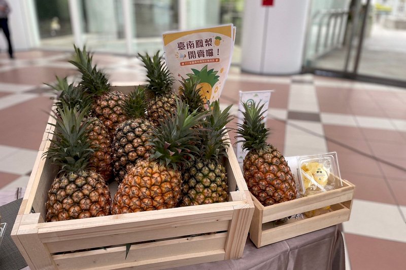 VIDEO: Pineapple farmers suffer as rains damage crop