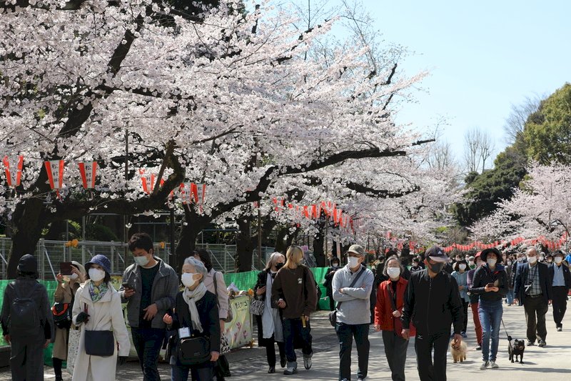 Japan loosens entry restrictions, tourists still banned