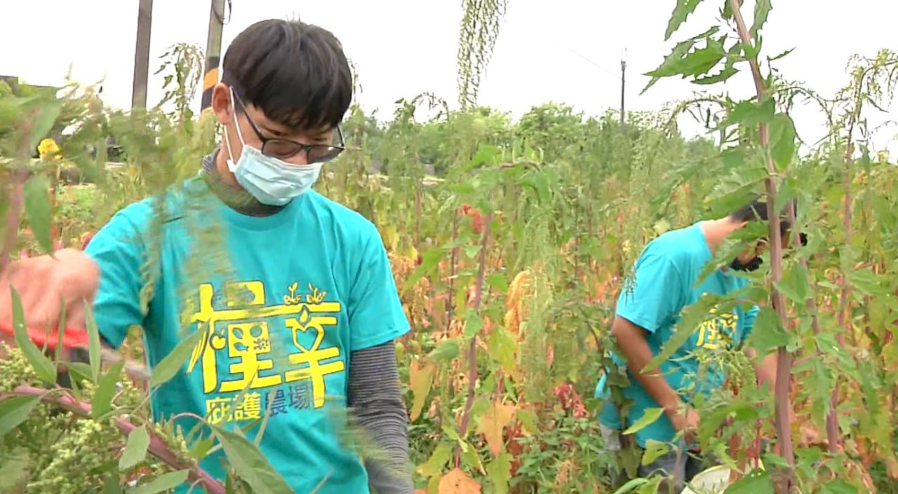 Yunlin farm creates jobs for people with disabilities