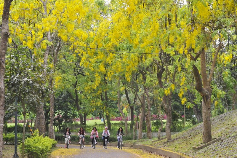 Where in Taiwan?