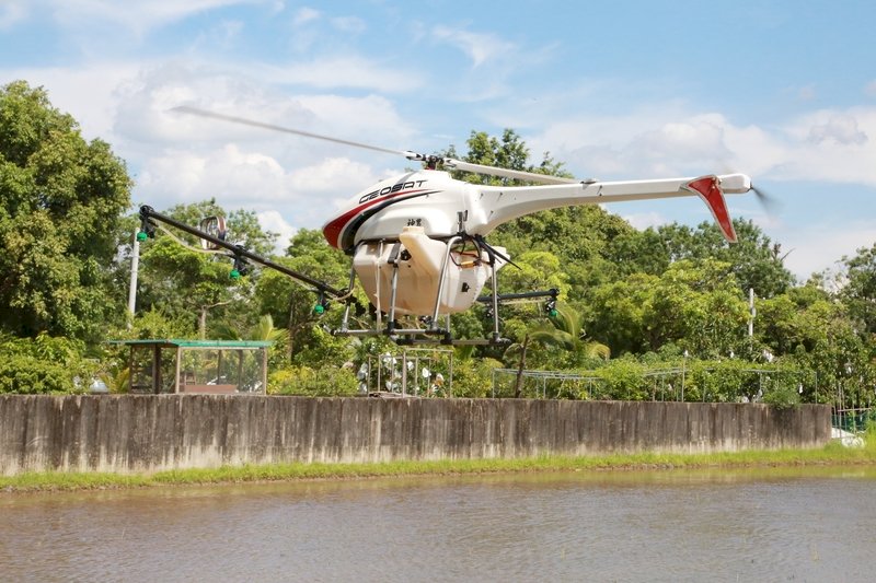 Campus pet dogs and long range drones