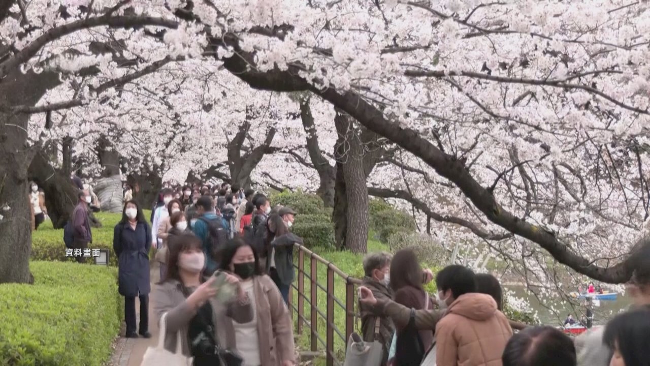 VIDEO: Taiwan on the cusp of allowing group tourist travel