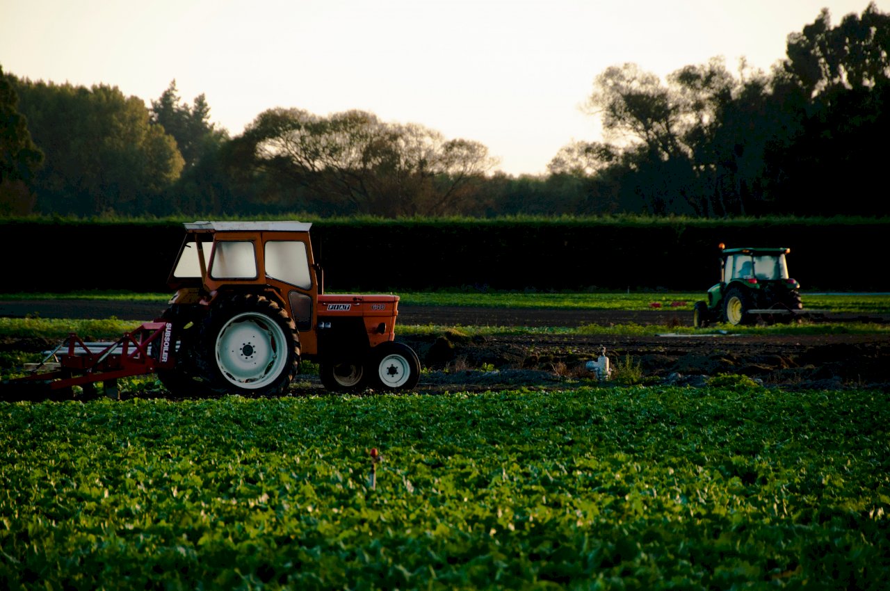 Lithuanian agriculture delegation to arrive on Wednesday