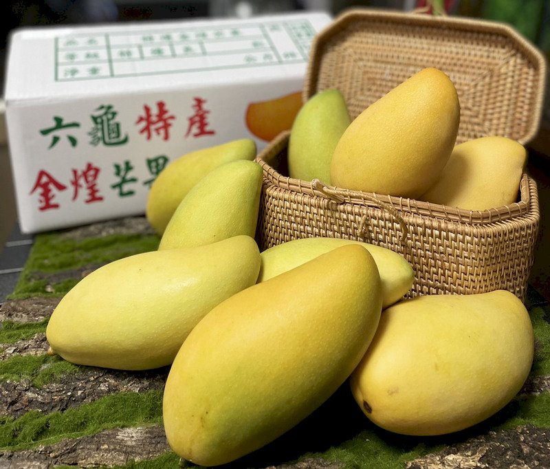 Macao suspends imports of Taiwanese mango