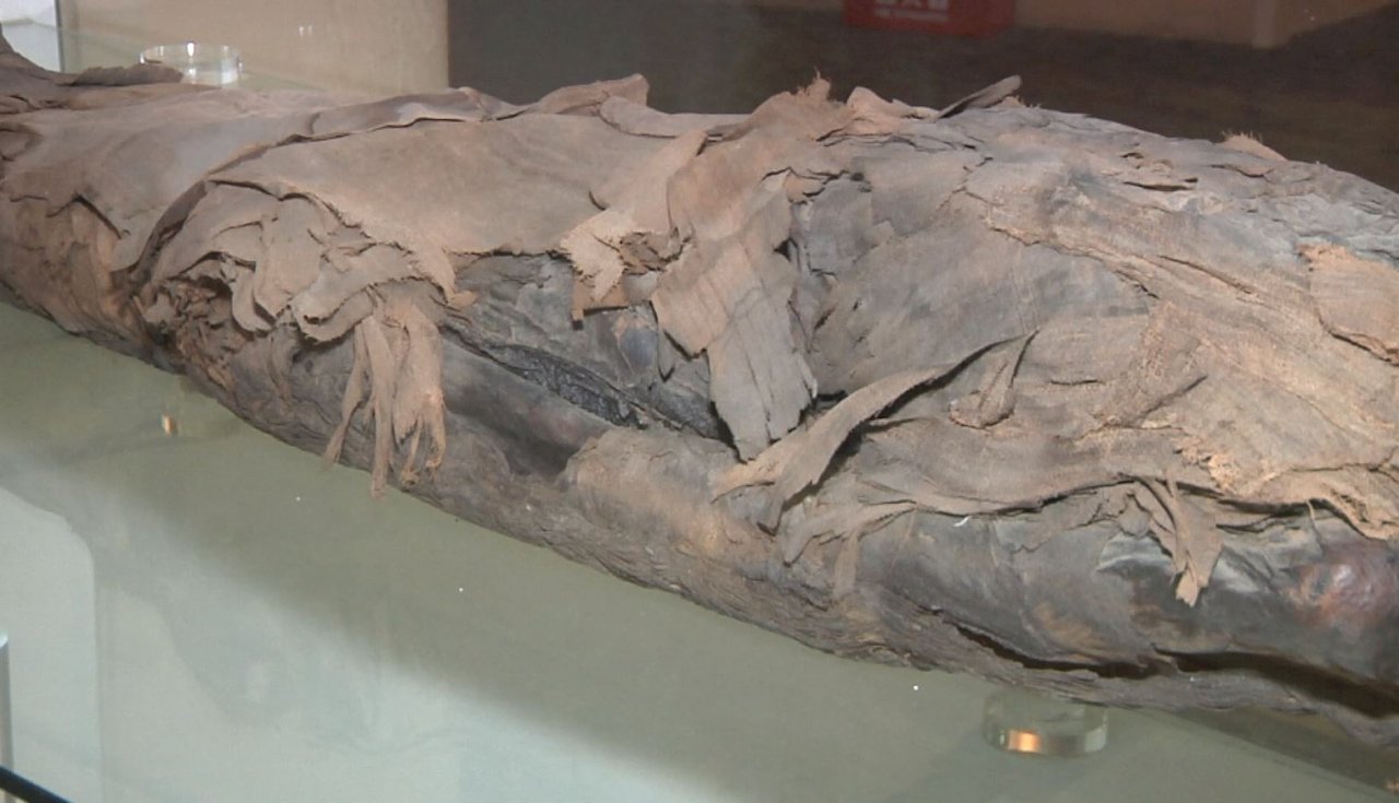 VIDEO: Taichung exhibition shows real mummies ahead of Ghost Month