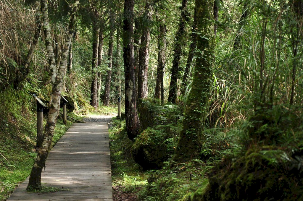 Yilan footpath awarded world’s first ‘Quiet Trail’ status