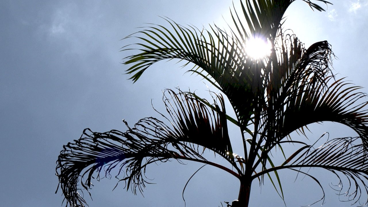 A task force is helping Taiwanese trapped in Cambodia