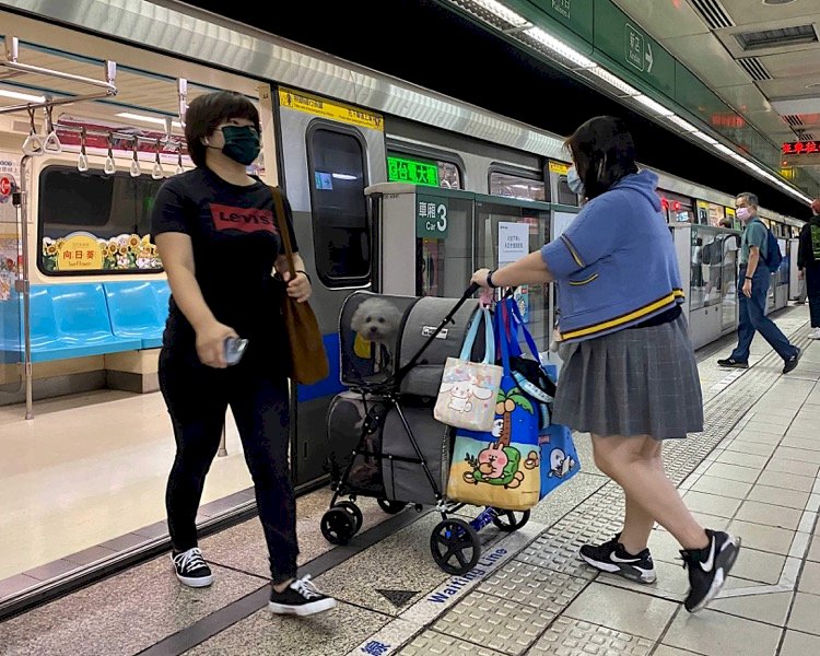 Morning migrations: Pets and people in Taipei