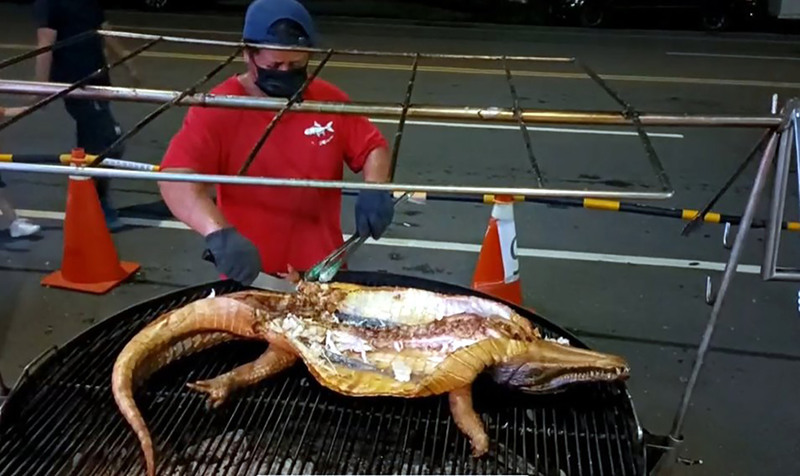 Barbequed Crocodiles, a Transgender Rights March and a Mercedes Benz set on fire