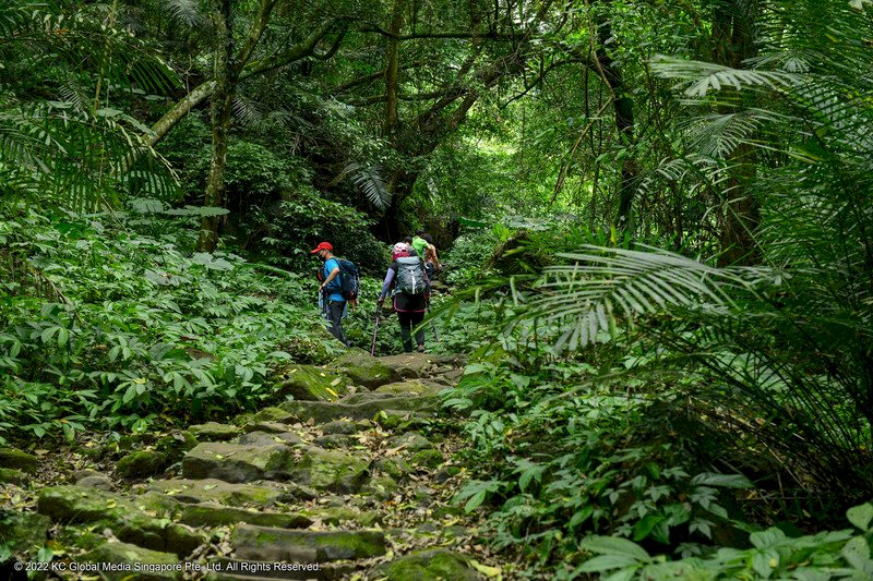 David Guetta in Taiwan, Missing hikers found and Memorial for Taiwanese feminist activist held