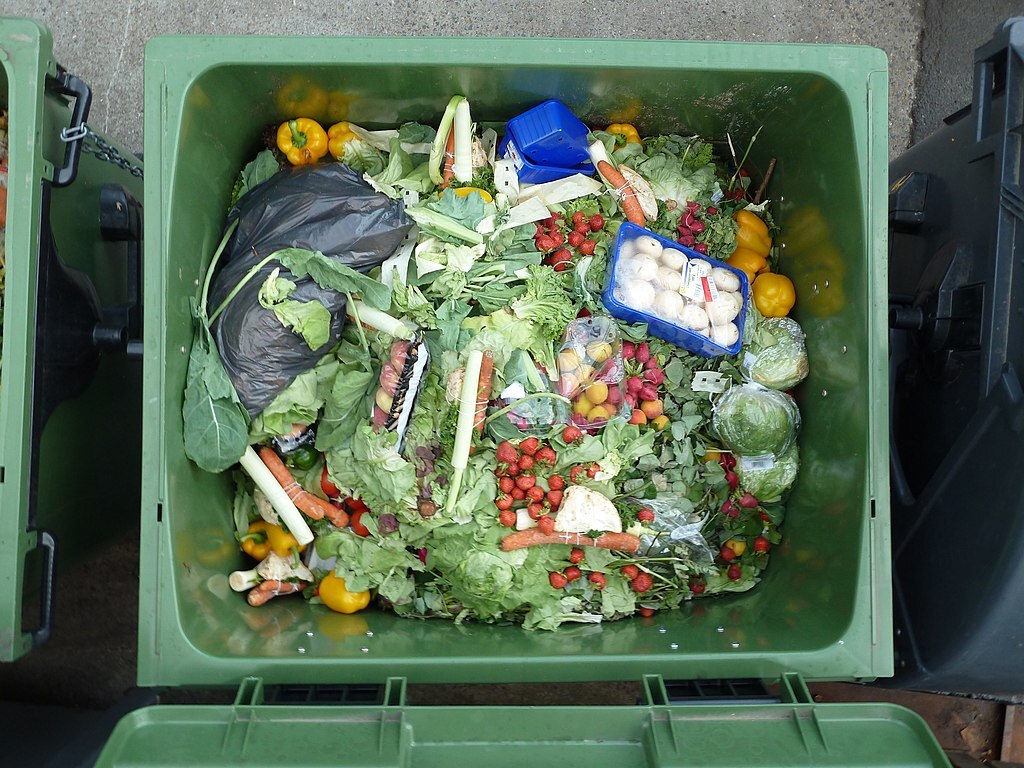 EMA urges holiday food conservation for a more sustainable Lunar New Year
