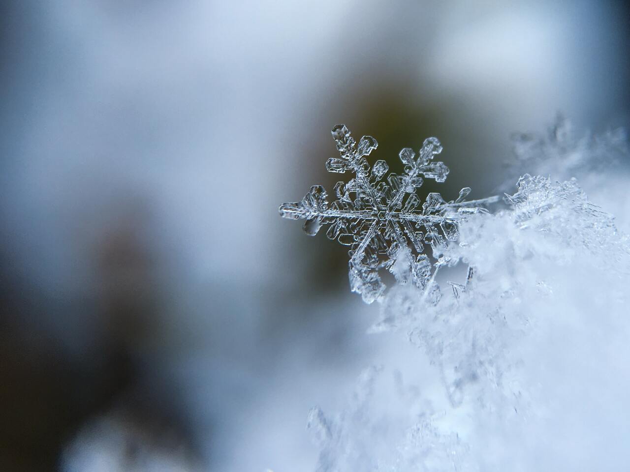 Military service, gaming, first snow