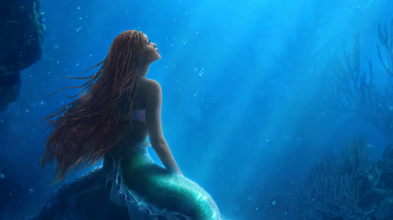 You cannot be the Little Mermaid if you are Black? (Part 2)