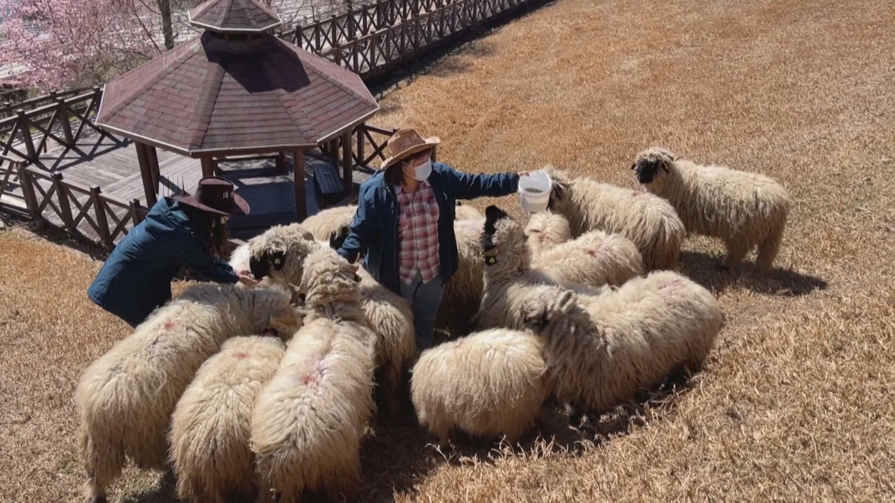 VIDEO: Popular farm looking to hire more employees