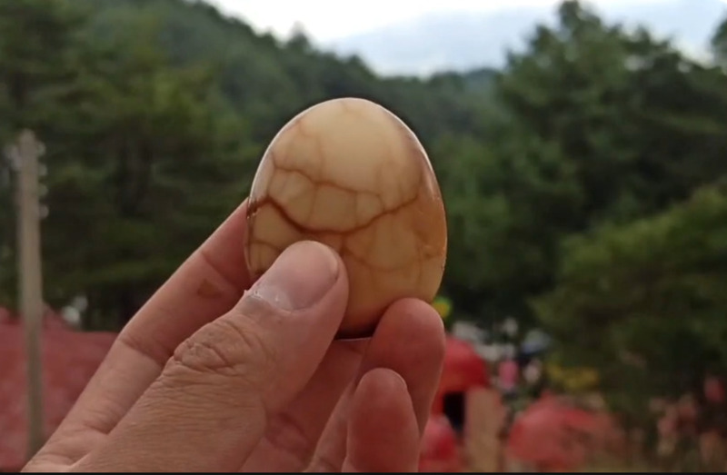 Taboos on Mid-Autumn Festival, Country of origin pilot program for eggs, NTU's global ranking