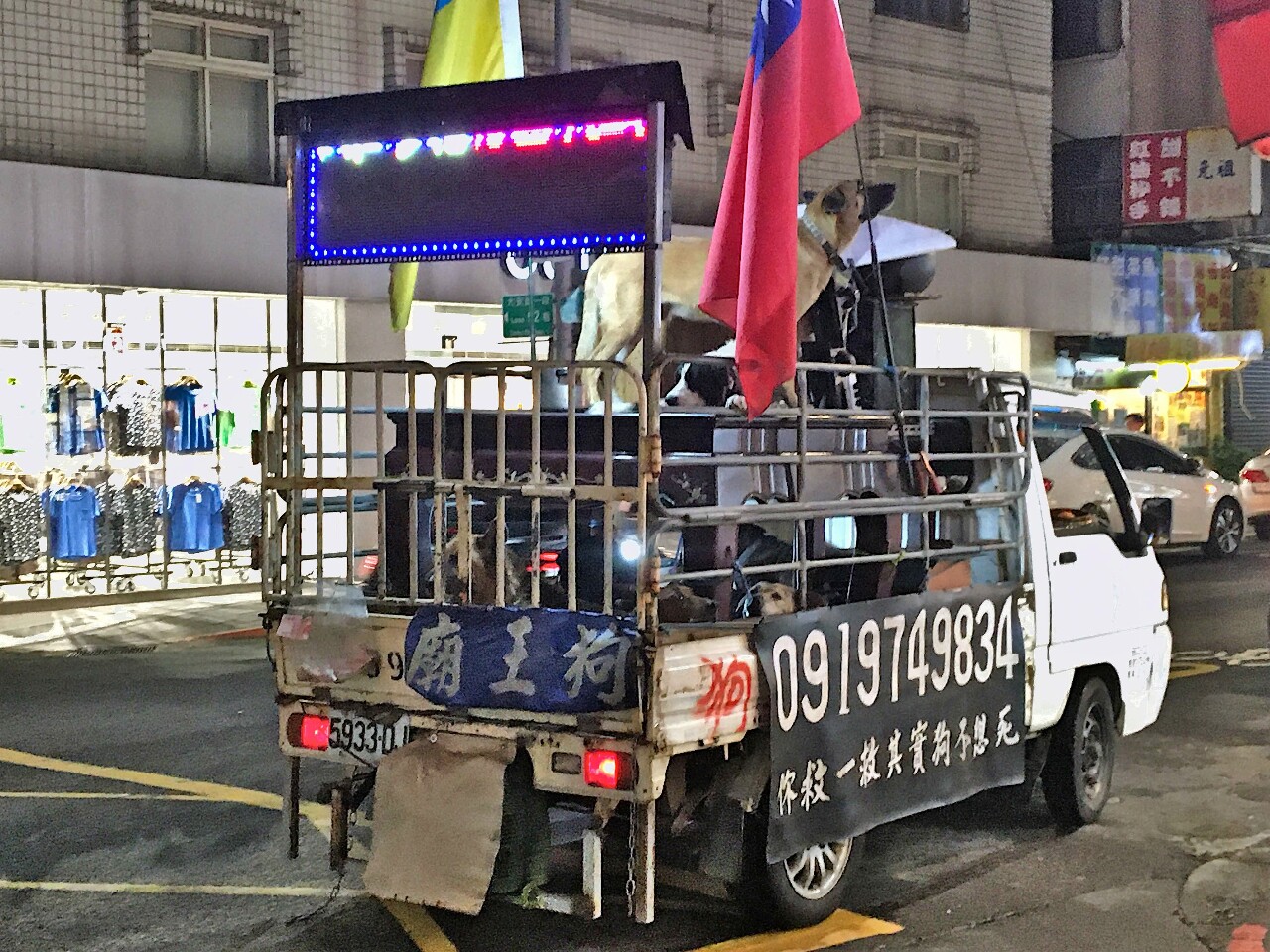 “Dog temple” truck raises animal welfare concerns