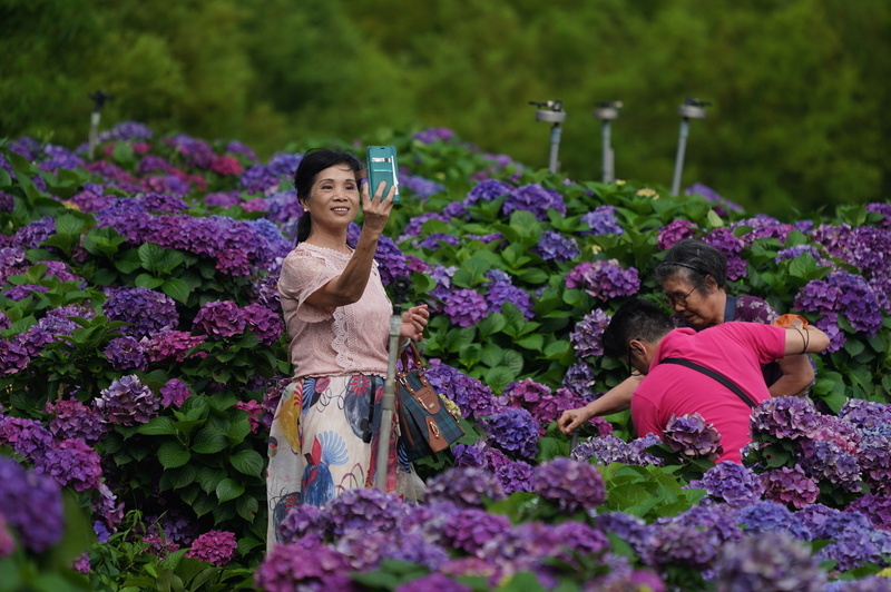 What June activities are there in Taiwan?