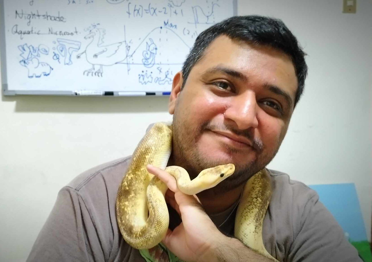 The Reptile Room: Things Are Not Always As They Seem