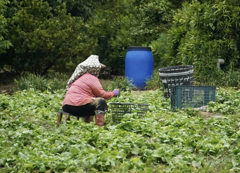 President confirms policy and infrastructure improvements for farmers