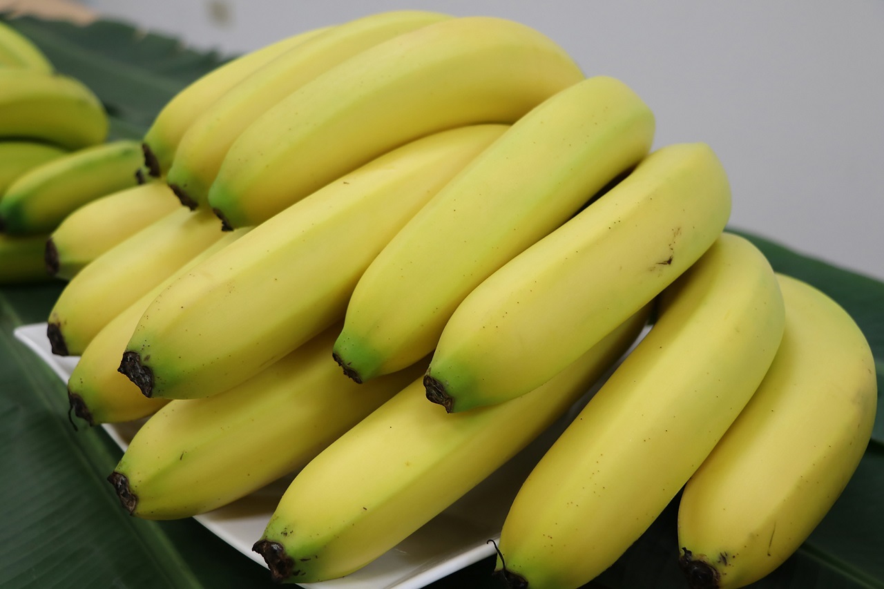 VIDEO: Taiwanese go bananas for fruit-shaped hammers