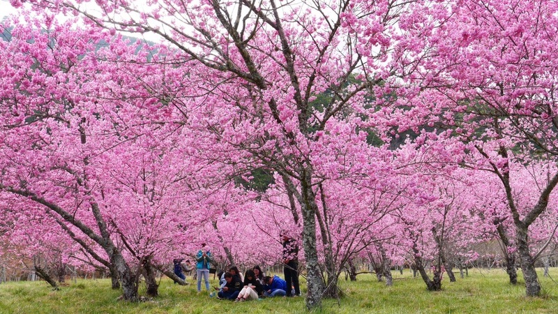 When is the best time to visit Taiwan?