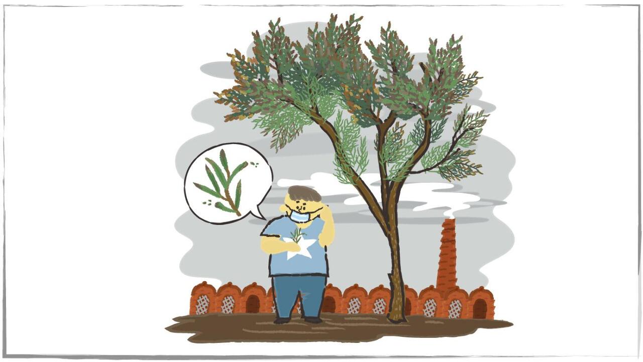 How do plants warn us of danger?