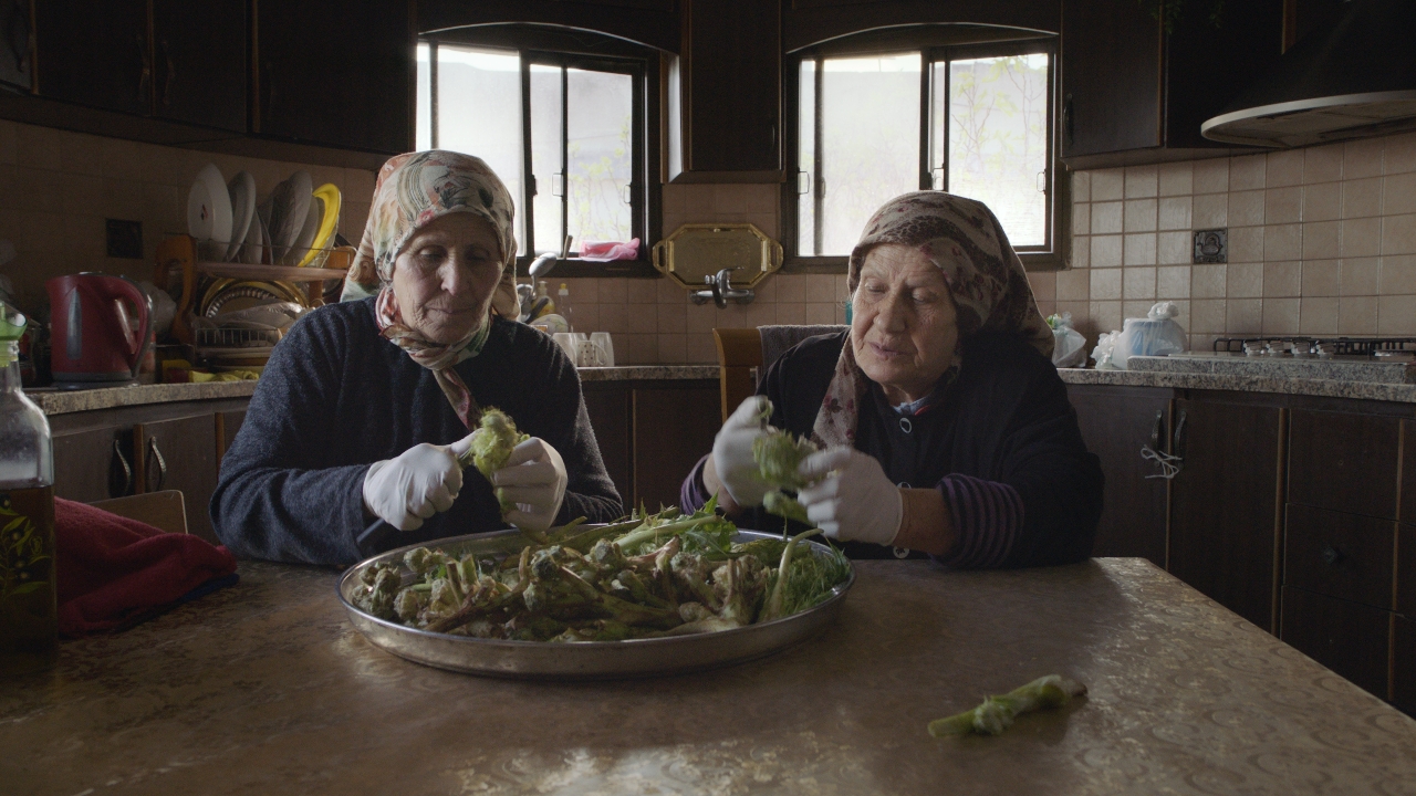 Foragers: Foraging as an act of love and resistance ft. Jumana Manna