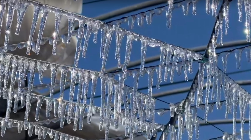 WATCH: Beautiful frozen plum and cherry blossoms form at Wuling Farm