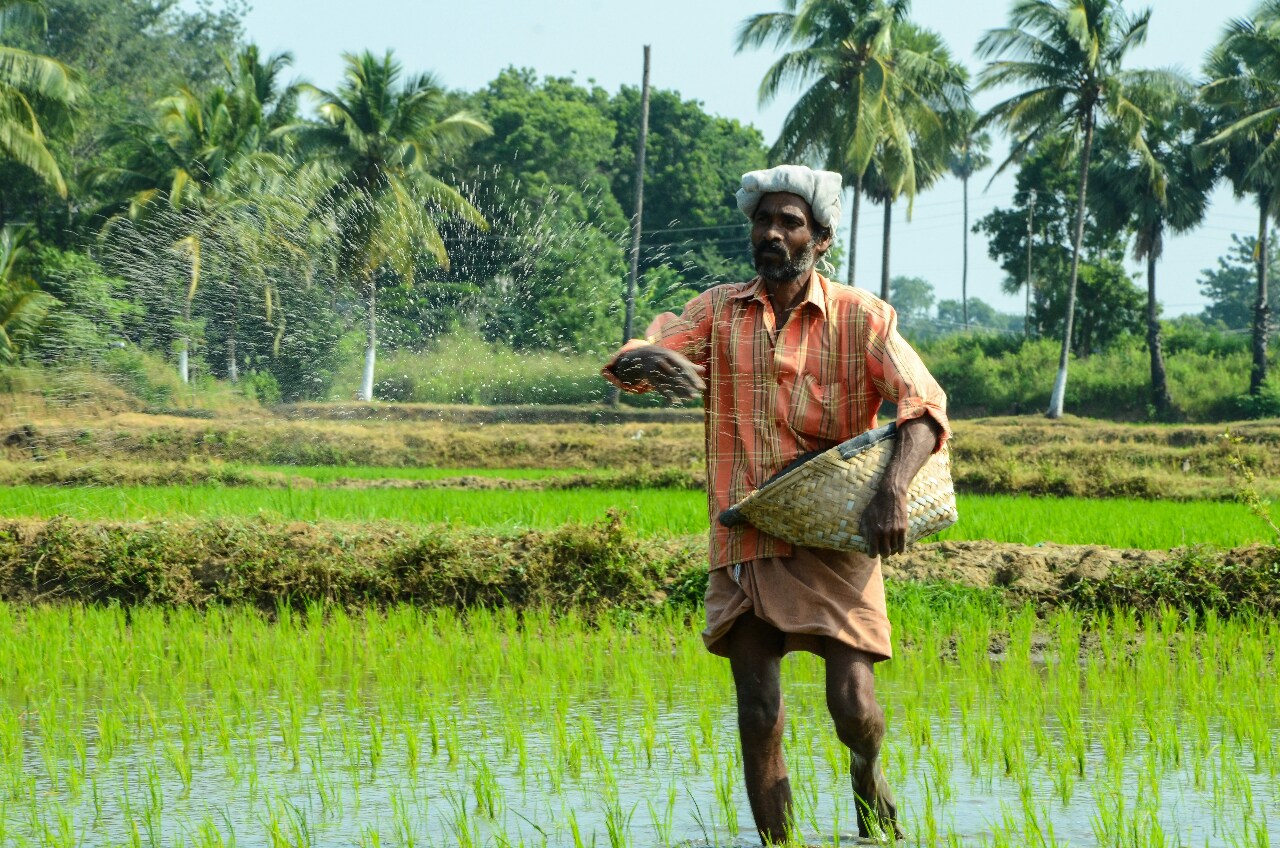 Professions & occupations: farmers & fishermen