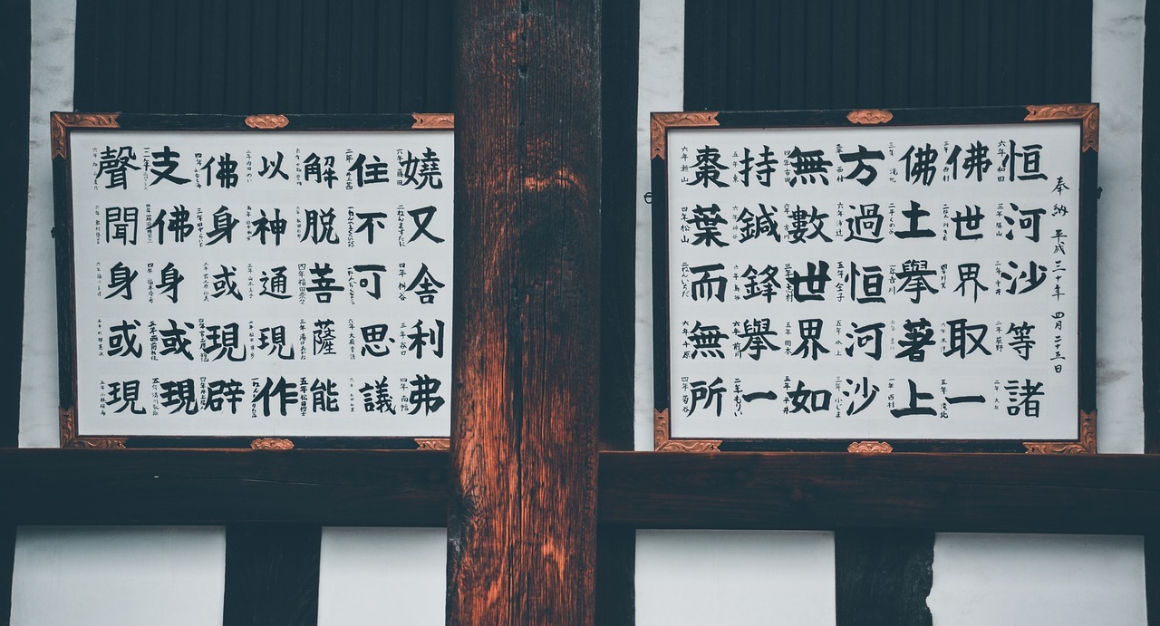 Pursuing dreams of learning Chinese by Soochow University's CLC students