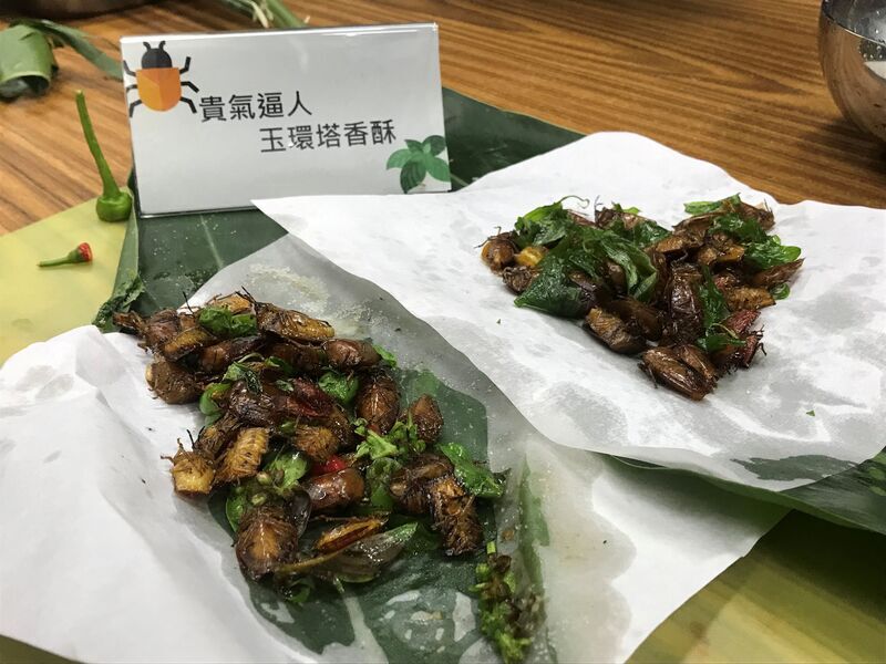 Lychee giant stink bugs and other exotic foods!
