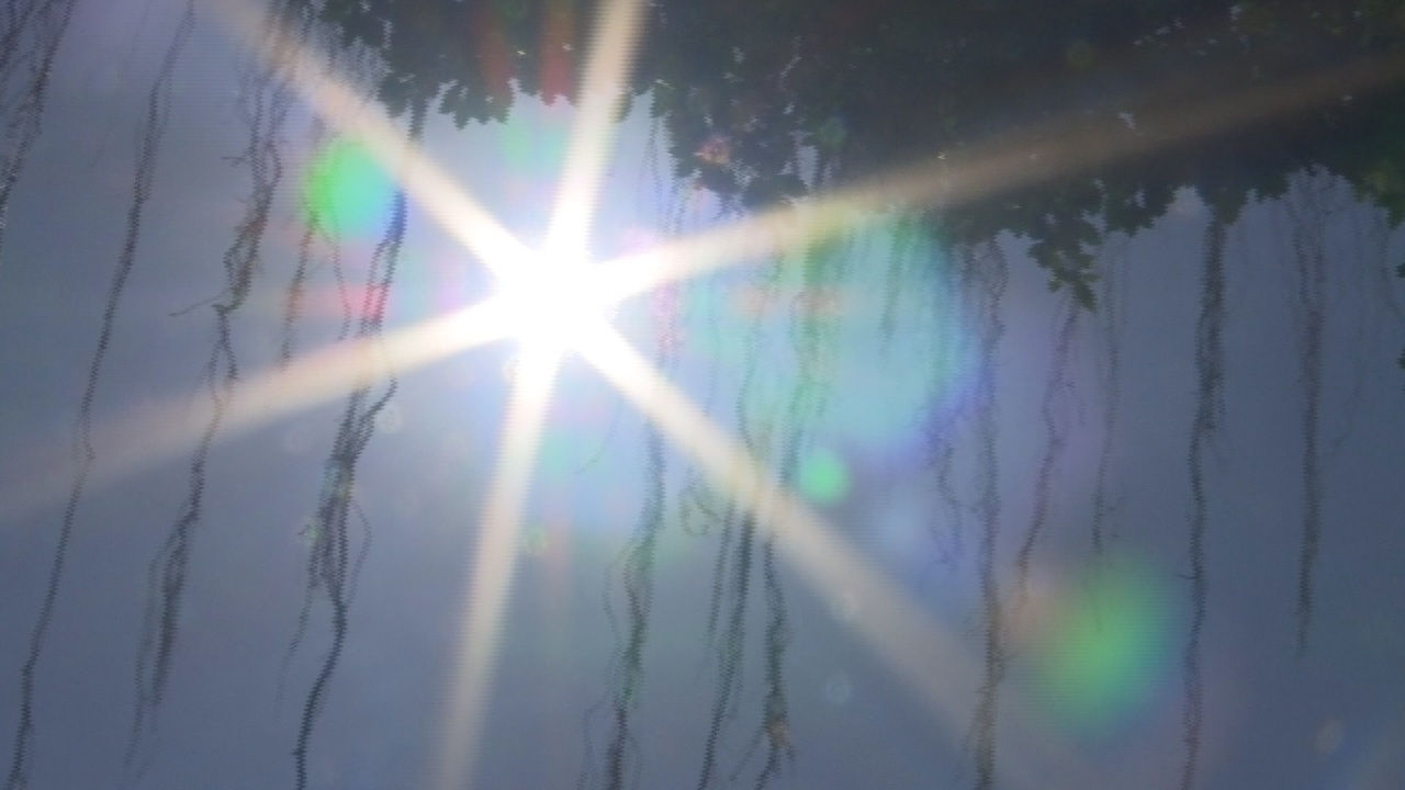 WATCH: High temperatures send over 400 to hospitals