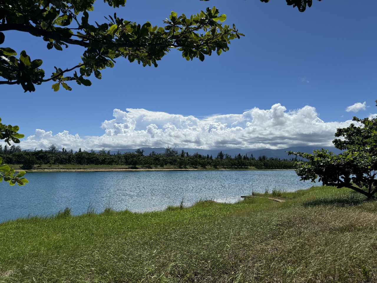 Let's head to Taitung for some R&R