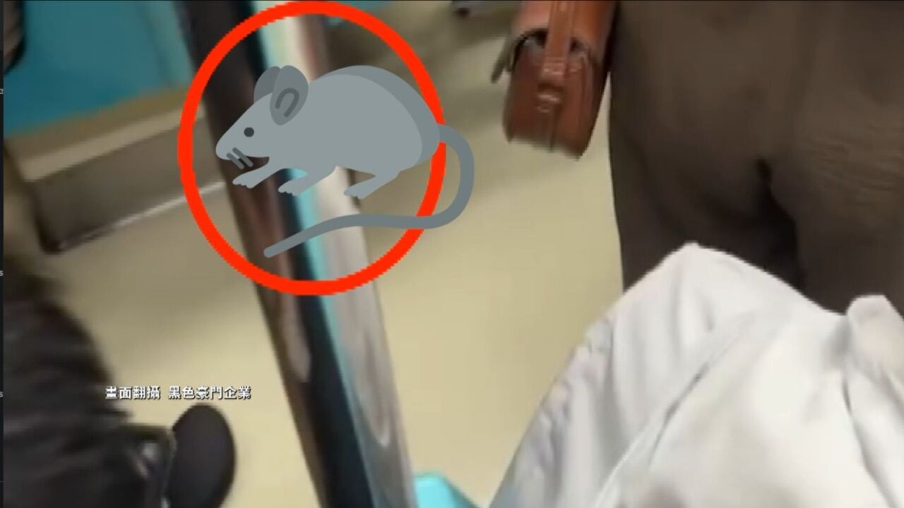 WATCH: Rat startles passengers on Taipei’s MRT