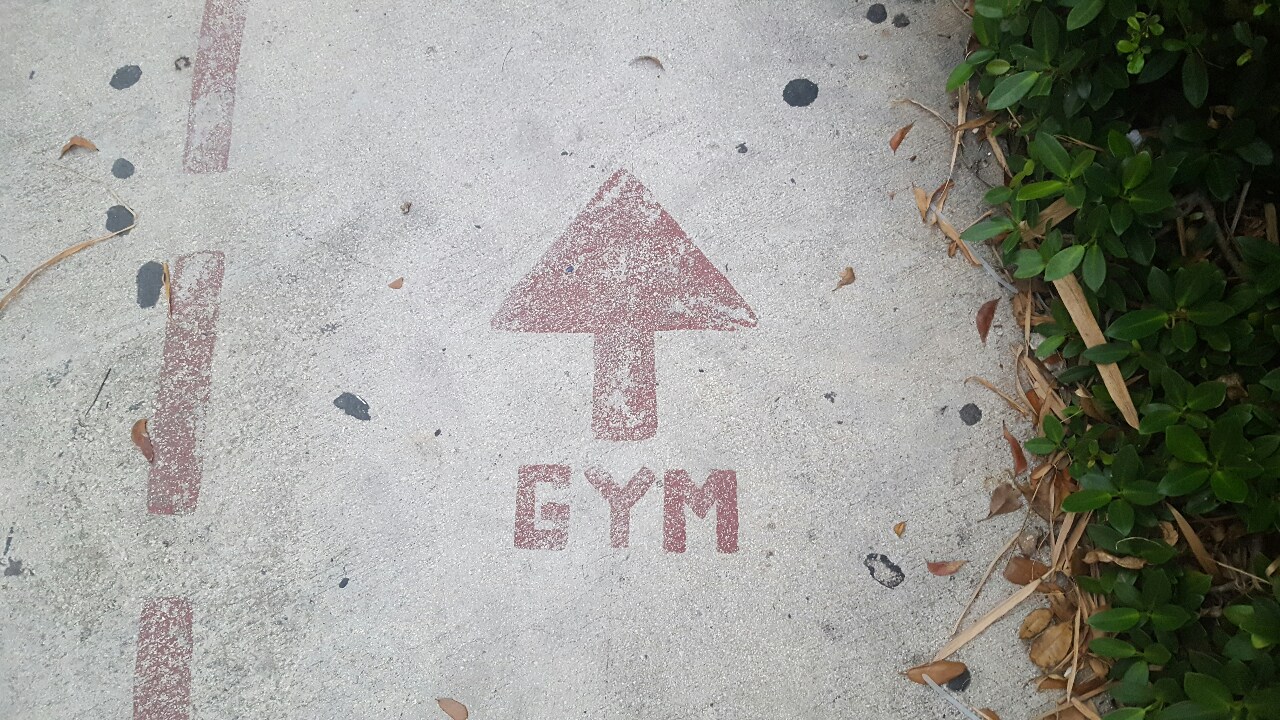 My Fitness Journey