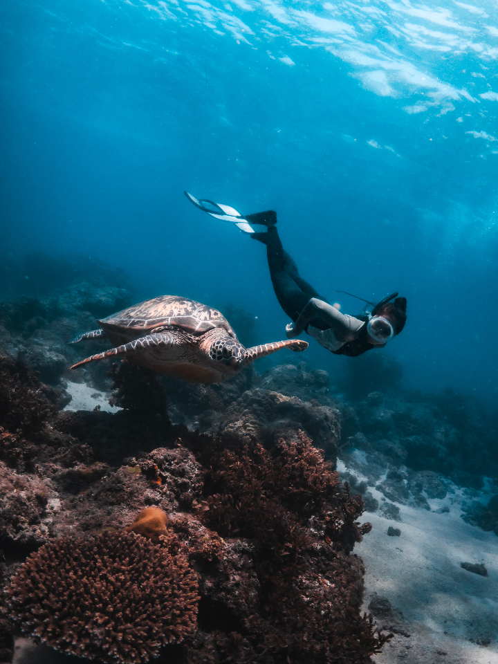 Mastering the Depths: Talking Freediving Safety with Freedive Nomad