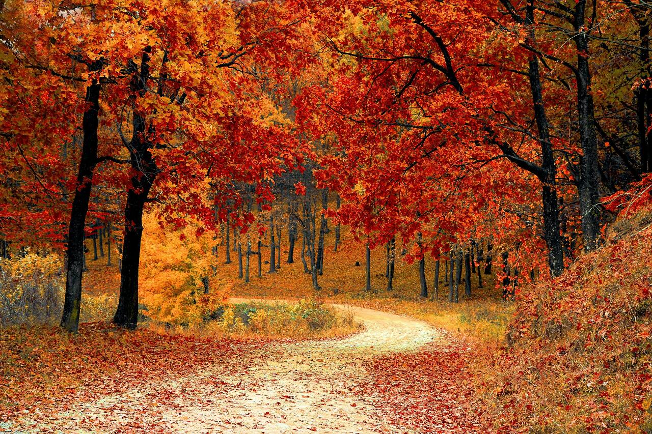 Autumn is Coming