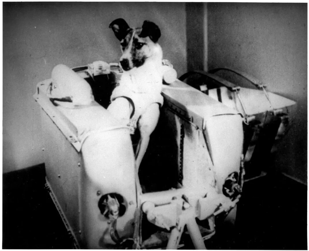 Laika: The First Voyager