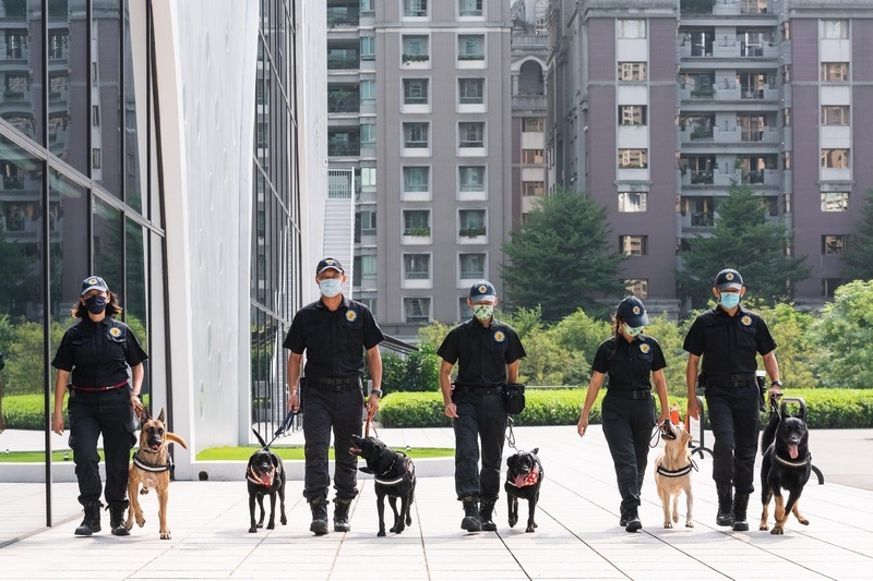 WATCH: Four founding police dogs are ready for retirement and adoption