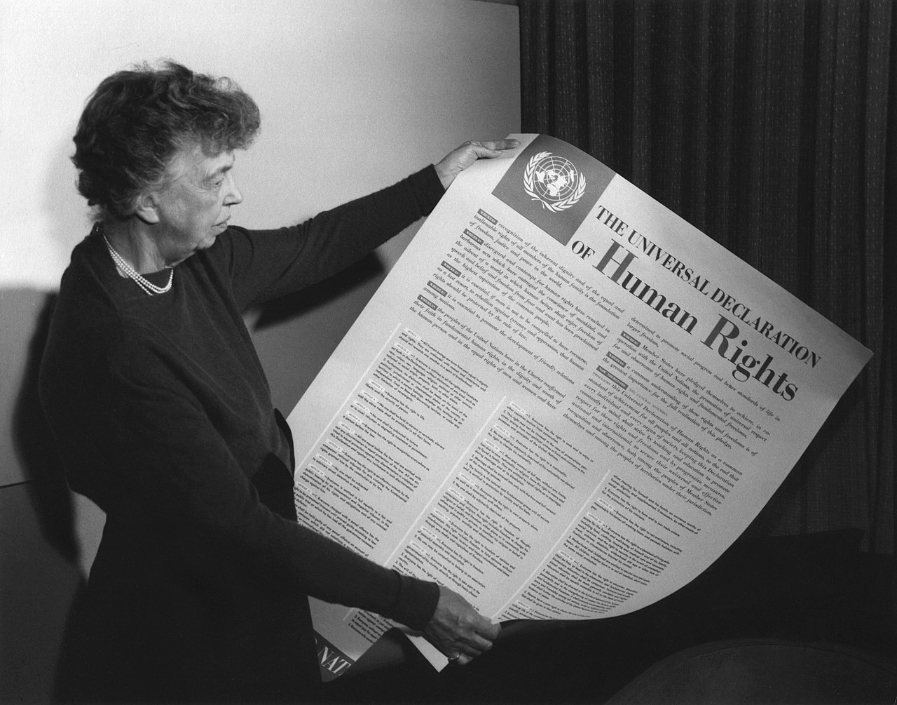 Milestones in Human Rights and Health