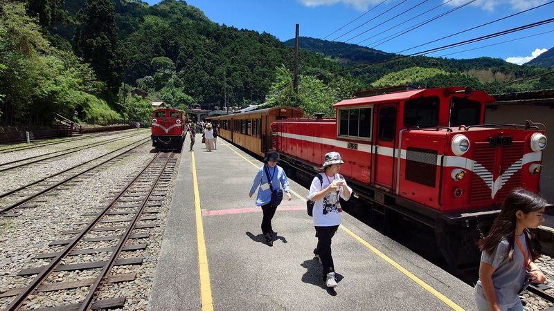 New York Times spotlights Alishan as top travel destination for 2025